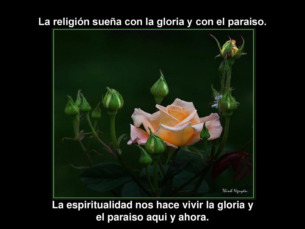 La religión sueña con la gloria y con el paraiso.