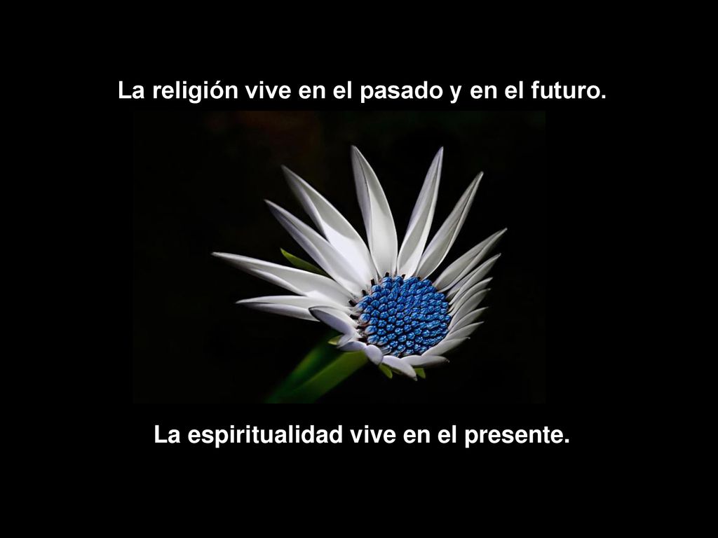 La religión vive en el pasado y en el futuro.