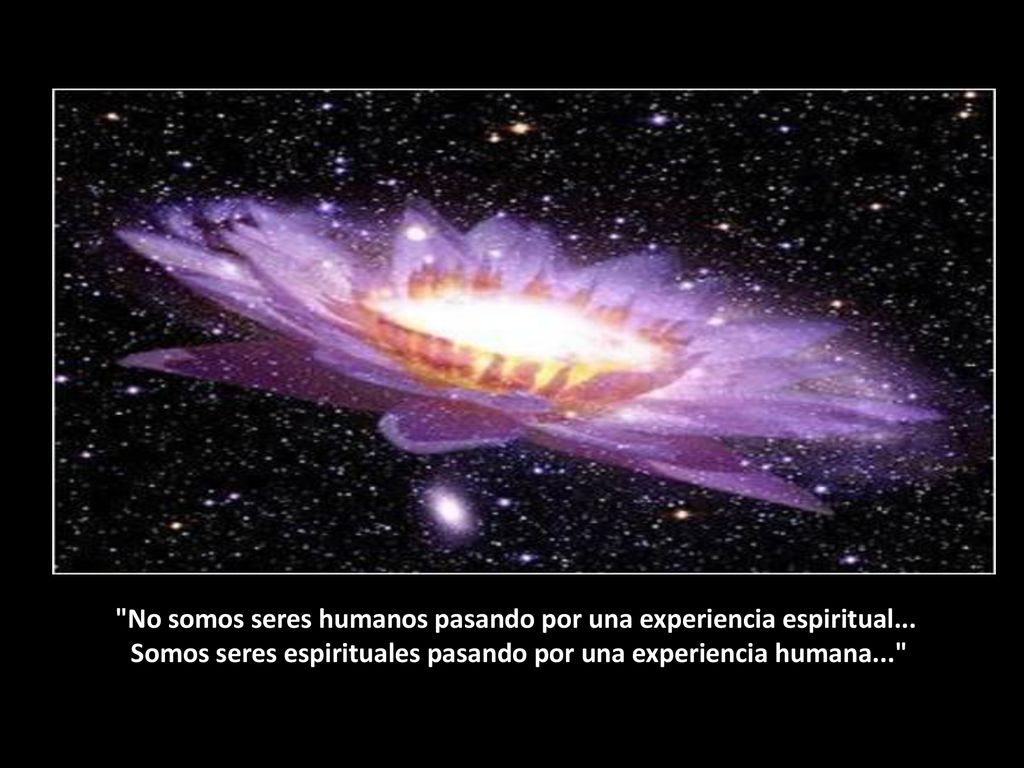No somos seres humanos pasando por una experiencia espiritual...