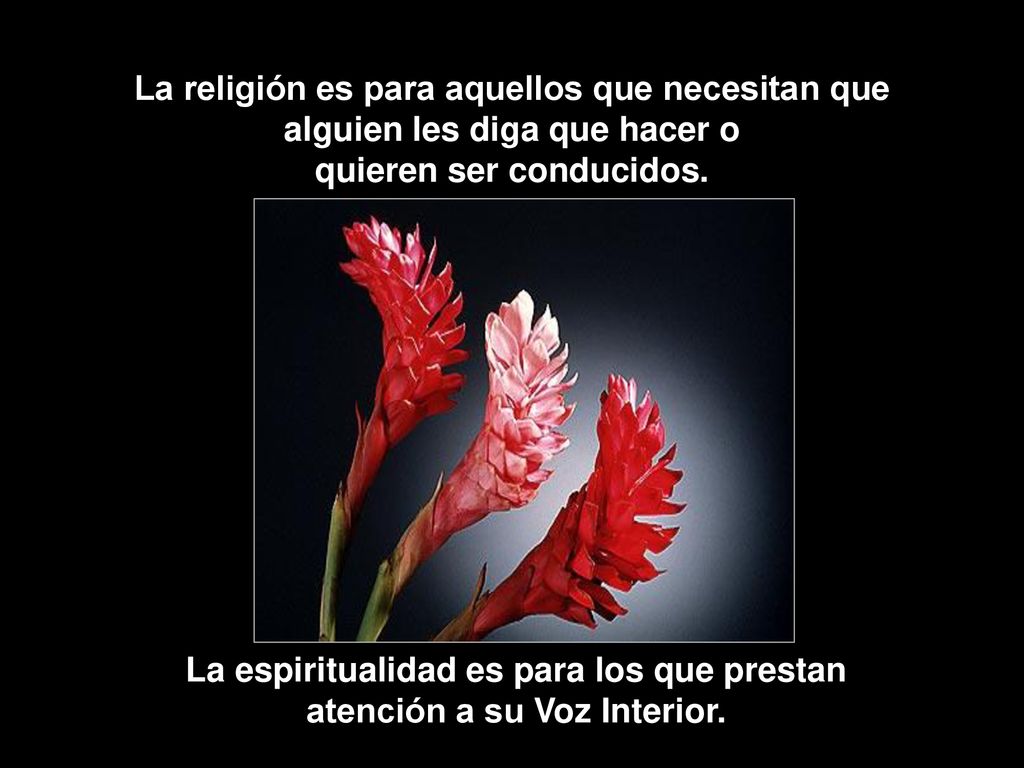 La espiritualidad es para los que prestan atención a su Voz Interior.