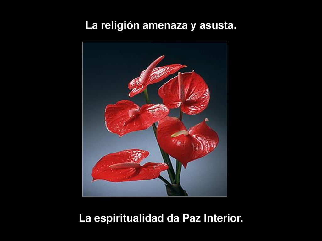 La religión amenaza y asusta. La espiritualidad da Paz Interior.