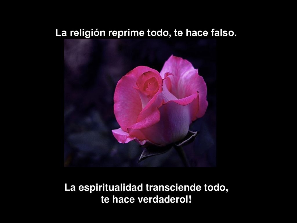 La religión reprime todo, te hace falso. te hace verdaderol!
