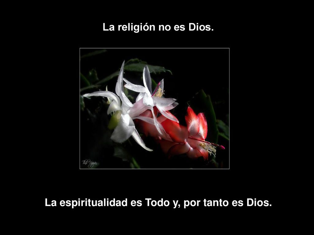 La espiritualidad es Todo y, por tanto es Dios.