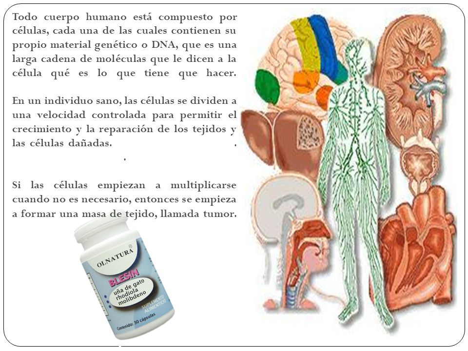 Todo cuerpo humano está compuesto por células, cada una de las cuales contienen su propio material genético o DNA, que es una larga cadena de moléculas que le dicen a la célula qué es lo que tiene que hacer.