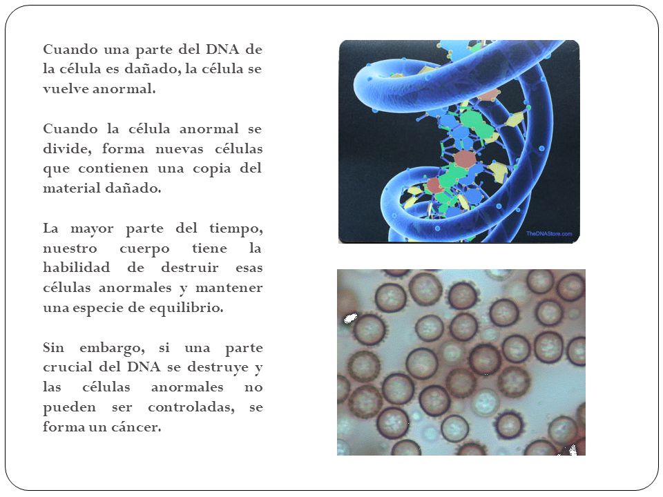 Cuando una parte del DNA de la célula es dañado, la célula se vuelve anormal.