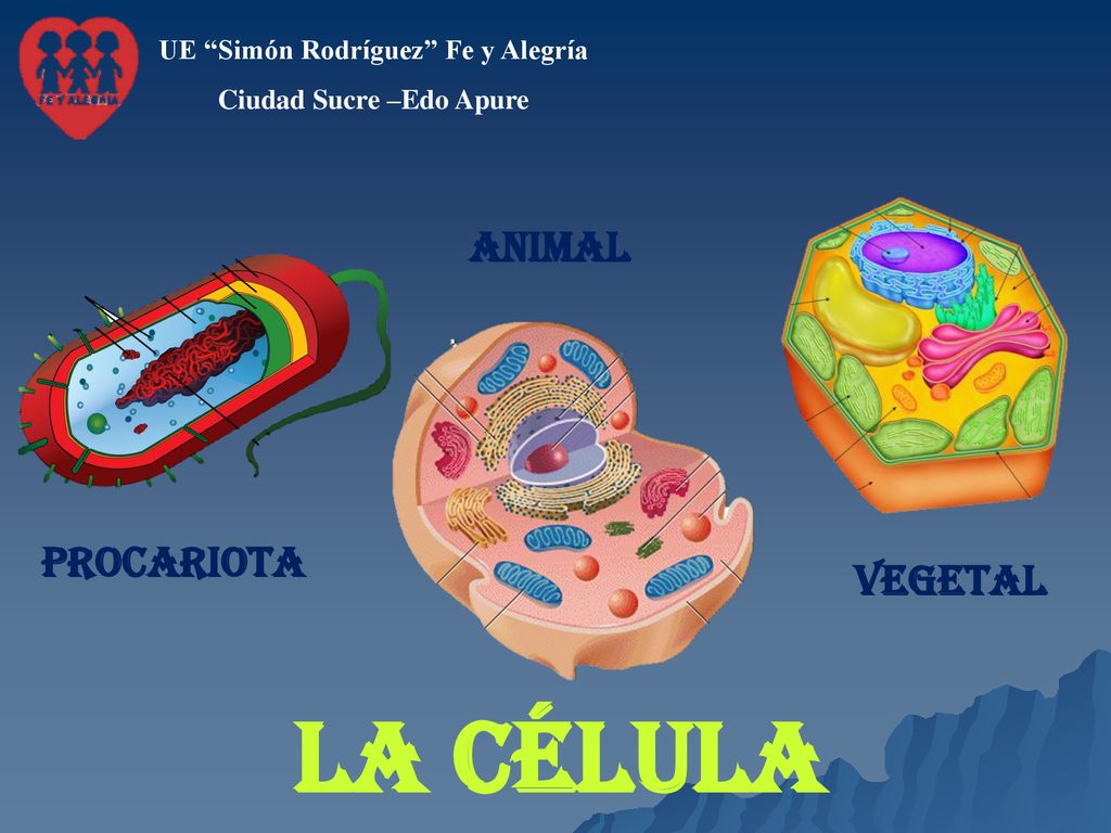 UE Simón Rodríguez Fe y Alegría Ciudad Sucre –Edo Apure