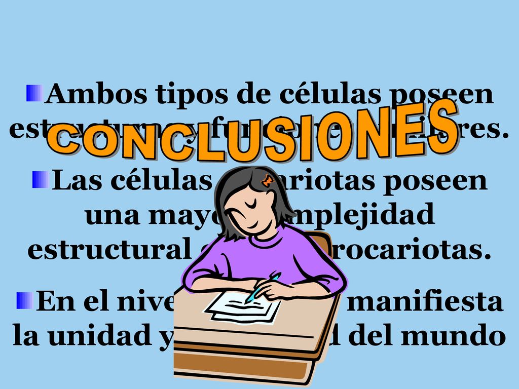 Ambos tipos de células poseen estructuras y funciones similares.