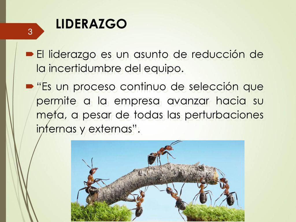 LIDERAZGO El liderazgo es un asunto de reducción de la incertidumbre del equipo.