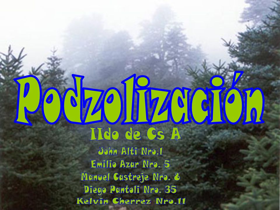 Podzolización IIdo de Cs A John Alti Nro.1 Emilio Azar Nro. 5