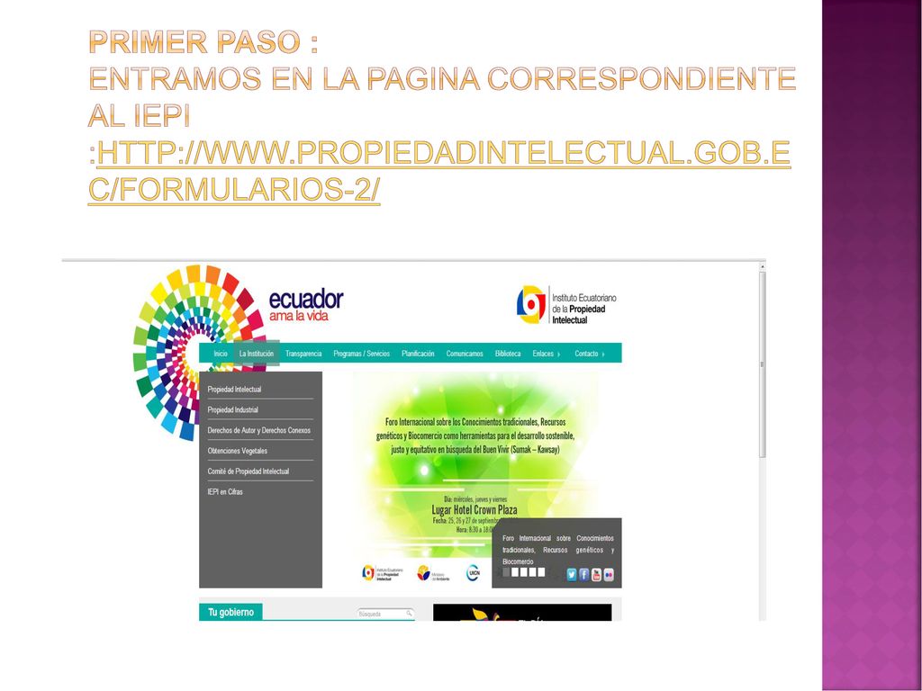PRIMER PASO : ENTRAMOS EN LA PAGINA CORRESPONDIENTE AL IEPI :