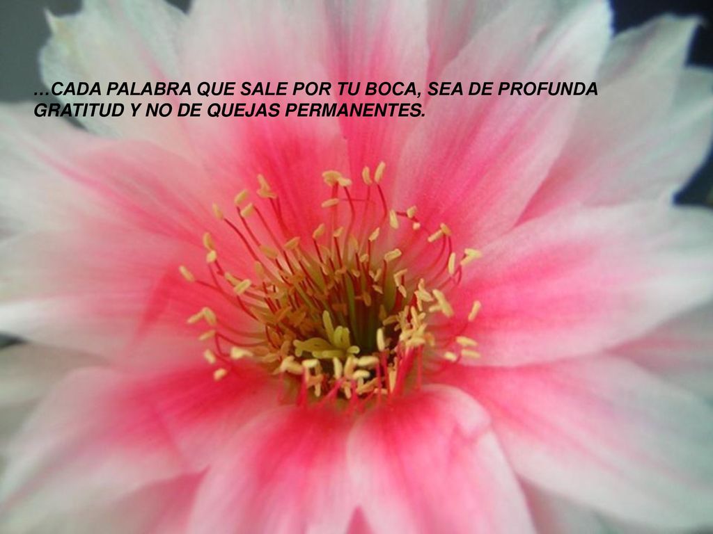 …CADA PALABRA QUE SALE POR TU BOCA, SEA DE PROFUNDA