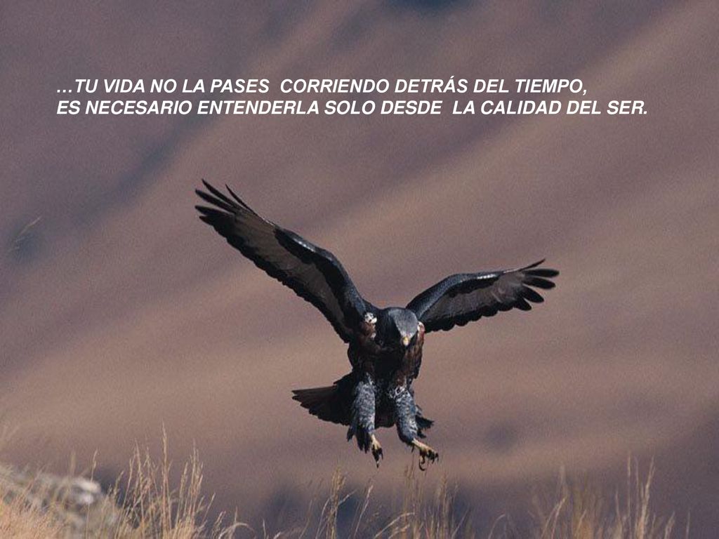 …TU VIDA NO LA PASES CORRIENDO DETRÁS DEL TIEMPO,