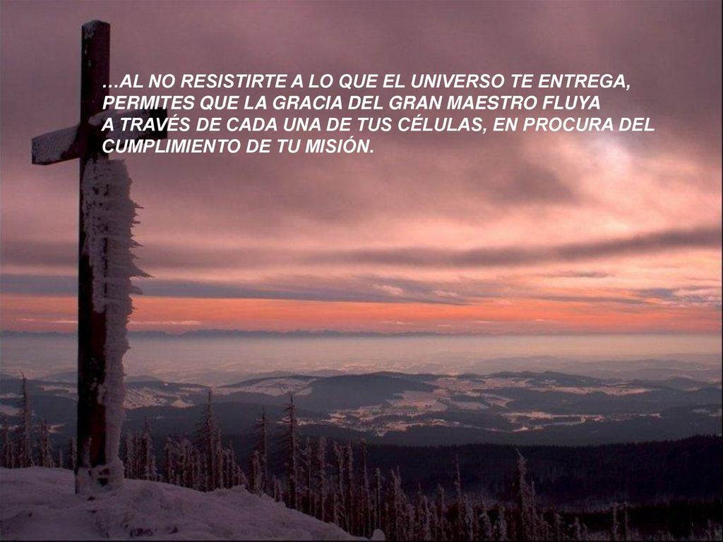 …AL NO RESISTIRTE A LO QUE EL UNIVERSO TE ENTREGA,