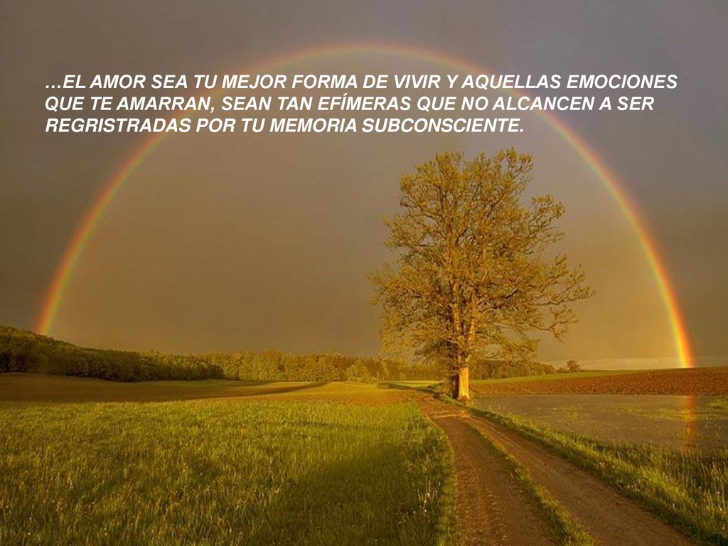 …EL AMOR SEA TU MEJOR FORMA DE VIVIR Y AQUELLAS EMOCIONES