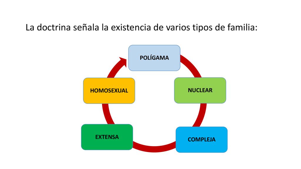 La doctrina señala la existencia de varios tipos de familia: