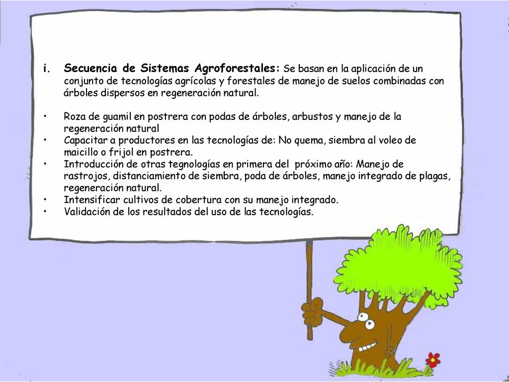 Secuencia de Sistemas Agroforestales: Se basan en la aplicación de un conjunto de tecnologías agrícolas y forestales de manejo de suelos combinadas con árboles dispersos en regeneración natural.