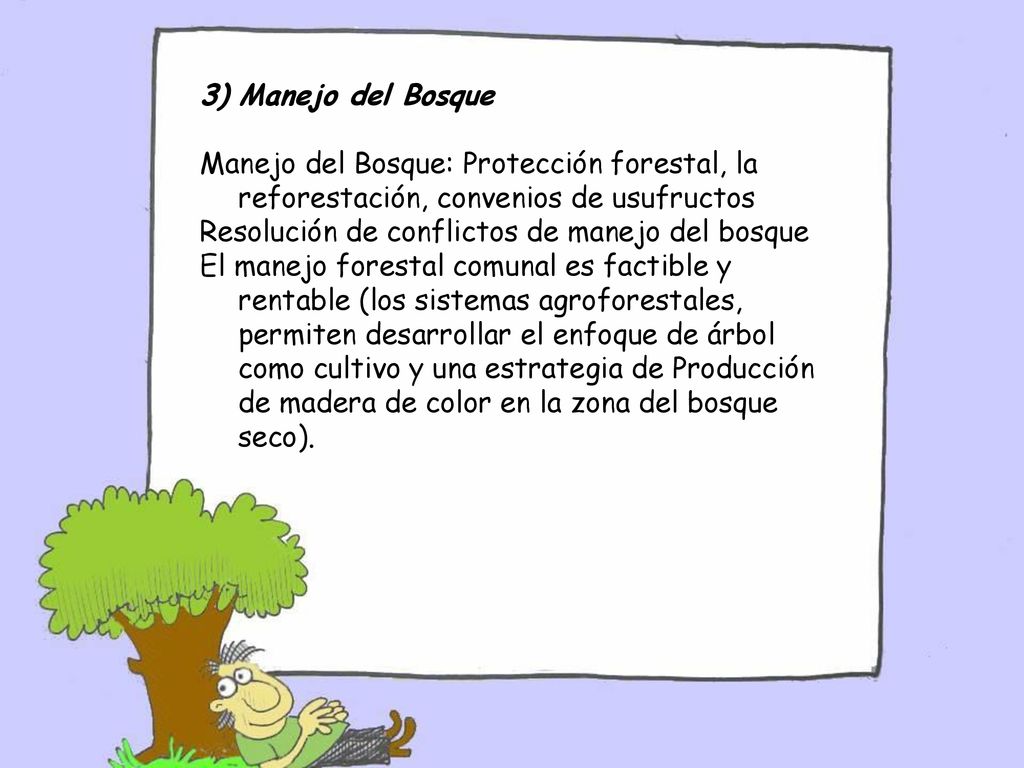 Manejo del Bosque Manejo del Bosque: Protección forestal, la reforestación, convenios de usufructos.