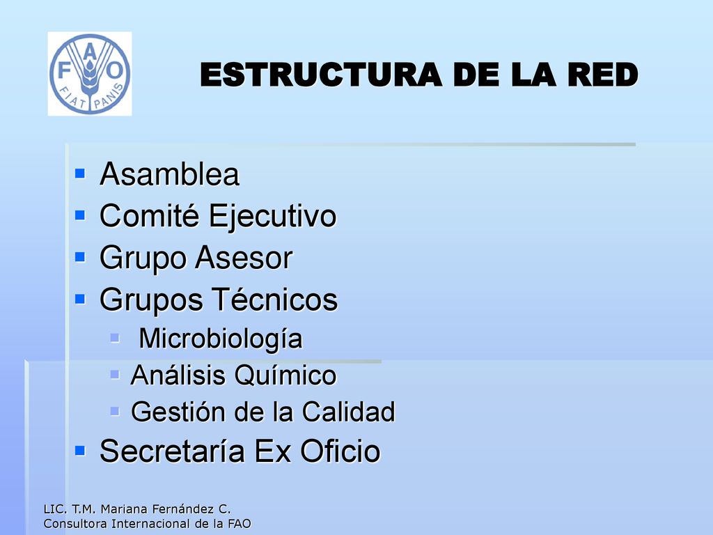 ESTRUCTURA DE LA RED Asamblea Comité Ejecutivo Grupo Asesor