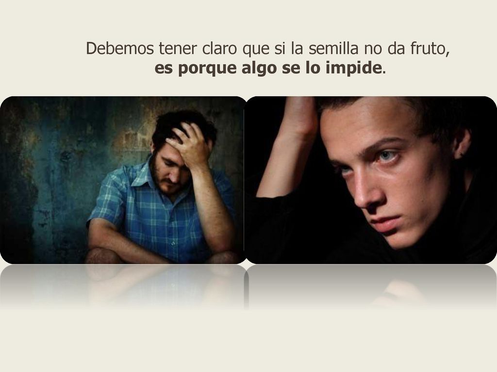 Debemos tener claro que si la semilla no da fruto,