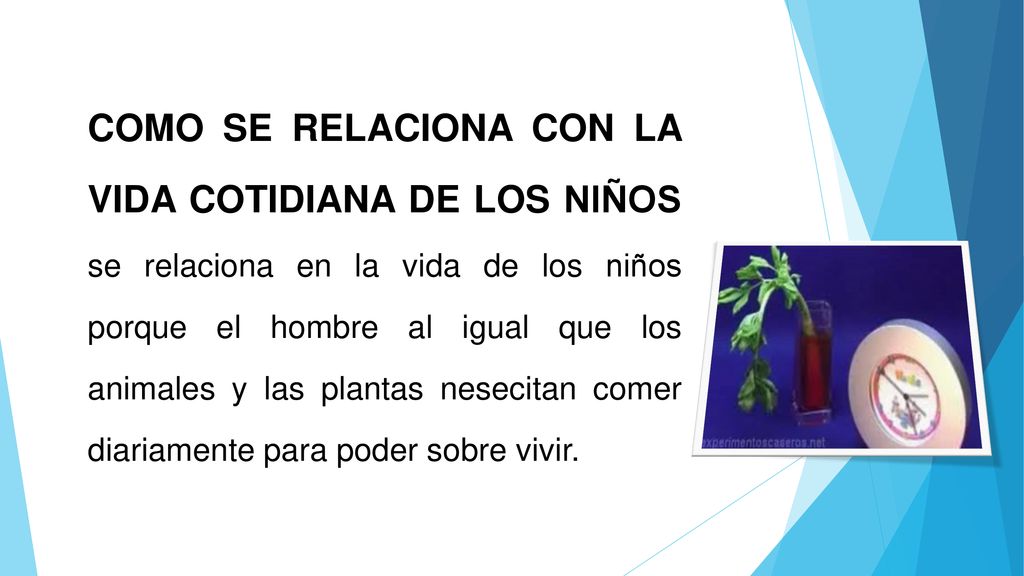COMO SE RELACIONA CON LA VIDA COTIDIANA DE LOS NIÑOS se relaciona en la vida de los niños porque el hombre al igual que los animales y las plantas nesecitan comer diariamente para poder sobre vivir.