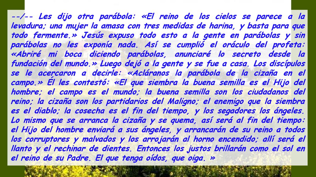 --/-- Les dijo otra parábola: «El reino de los cielos se parece a la levadura; una mujer la amasa con tres medidas de harina, y basta para que todo fermente.» Jesús expuso todo esto a la gente en parábolas y sin parábolas no les exponía nada.