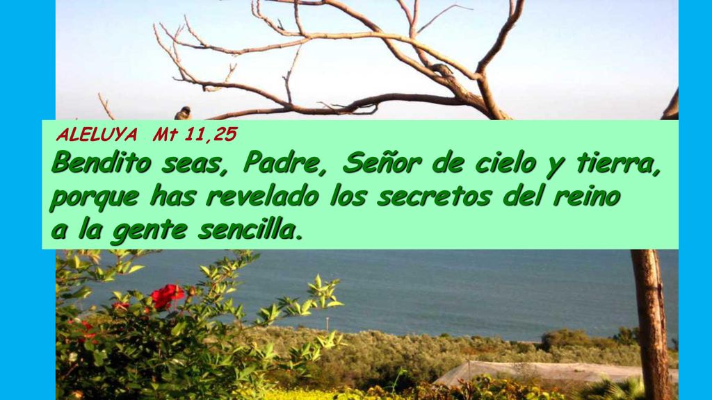 ALELUYA Mt 11,25 Bendito seas, Padre, Señor de cielo y tierra, porque has revelado los secretos del reino a la gente sencilla.