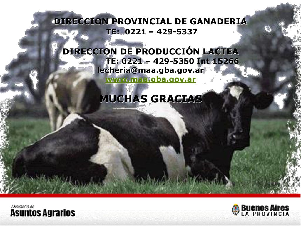 DIRECCION PROVINCIAL DE GANADERIA TE: 0221 – DIRECCION DE PRODUCCIÓN LACTEA TE: 0221 – Int MUCHAS GRACIAS