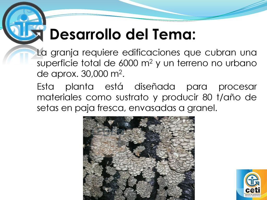 Desarrollo del Tema: La granja requiere edificaciones que cubran una superficie total de 6000 m2 y un terreno no urbano de aprox. 30,000 m2.