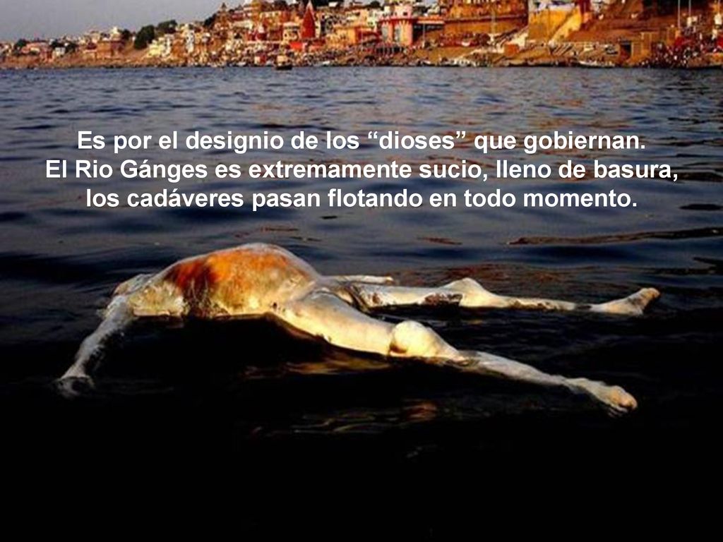 Es por el designio de los dioses que gobiernan