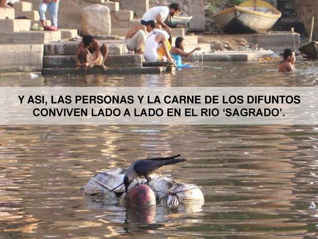 Y ASI, LAS PERSONAS Y LA CARNE DE LOS DIFUNTOS CONVIVEN LADO A LADO EN EL RIO ‘SAGRADO’.