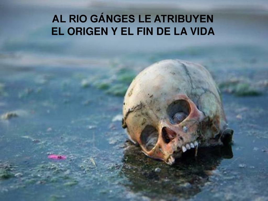 AL RIO GÁNGES LE ATRIBUYEN EL ORIGEN Y EL FIN DE LA VIDA