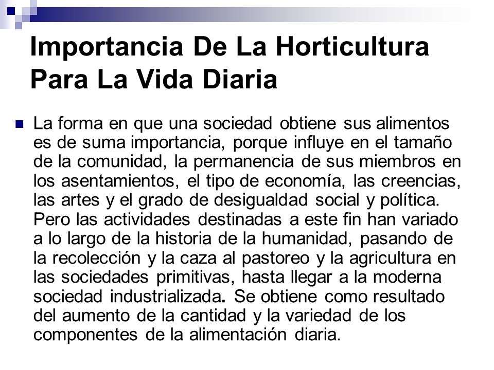 Importancia De La Horticultura Para La Vida Diaria