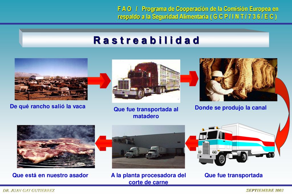 R a s t r e a b i l i d a d De qué rancho salió la vaca