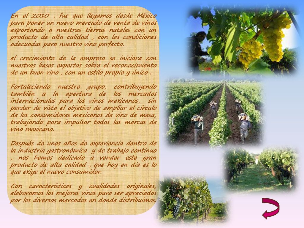 En el 2010 , fue que llegamos desde México para poner un nuevo mercado de venta de vinos exportando a nuestras tierras natales con un producto de alta calidad , con las condiciones adecuadas para nuestro vino perfecto.