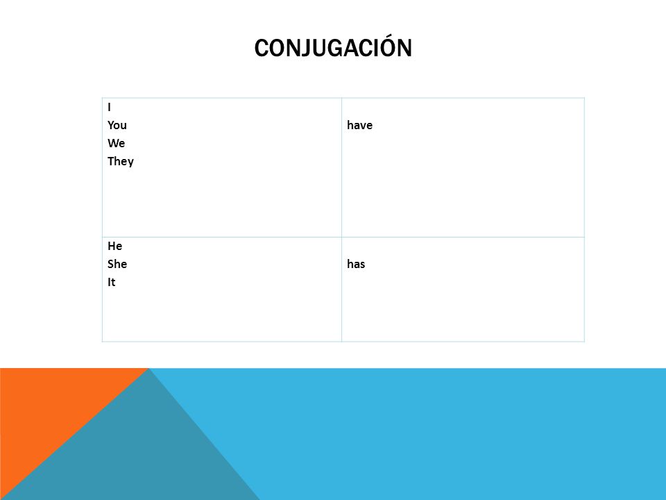 CONJUGACIÓN I You We They have He She It has