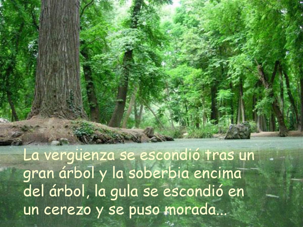 La vergüenza se escondió tras un gran árbol y la soberbia encima del árbol, la gula se escondió en un cerezo y se puso morada...