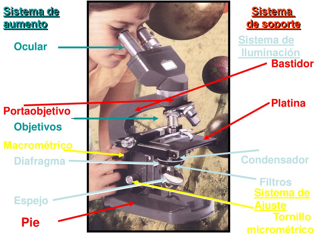 Pie Sistema de aumento Sistema de soporte Sistema de Iluminación