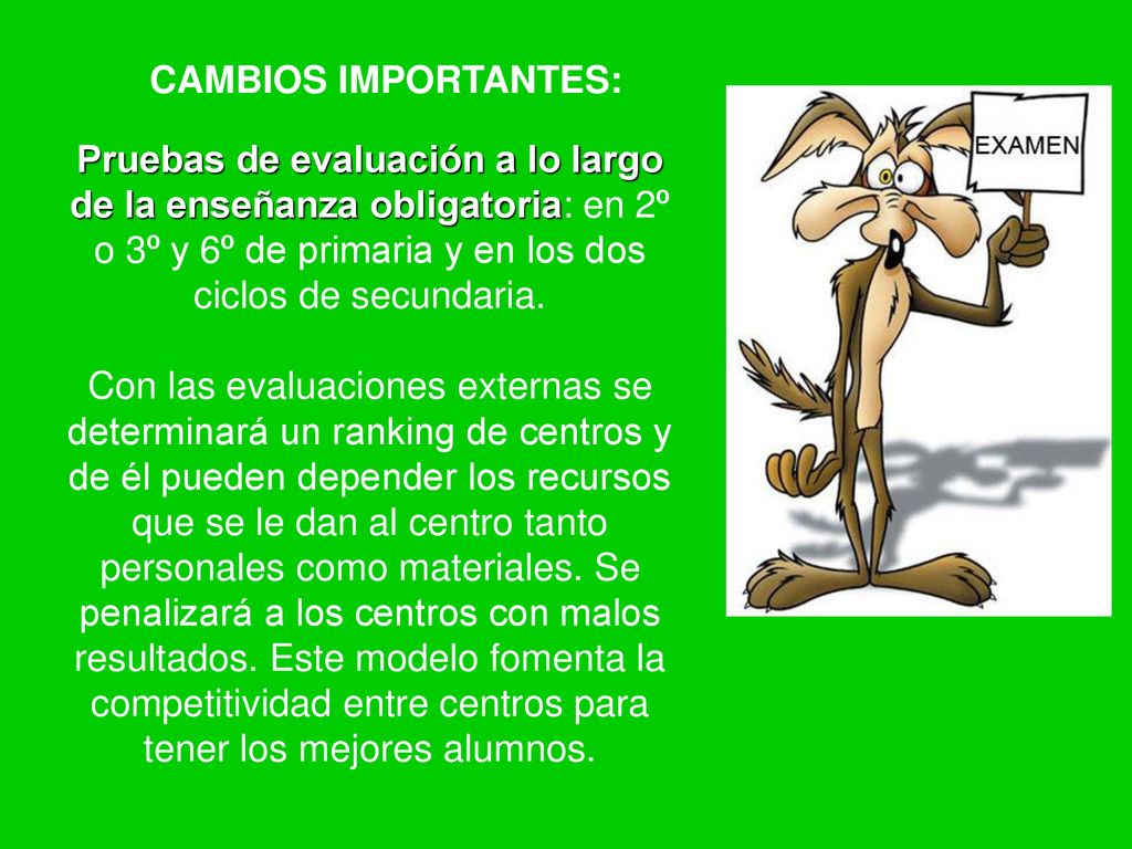 CAMBIOS IMPORTANTES: Pruebas de evaluación a lo largo de la enseñanza obligatoria: en 2º o 3º y 6º de primaria y en los dos ciclos de secundaria.