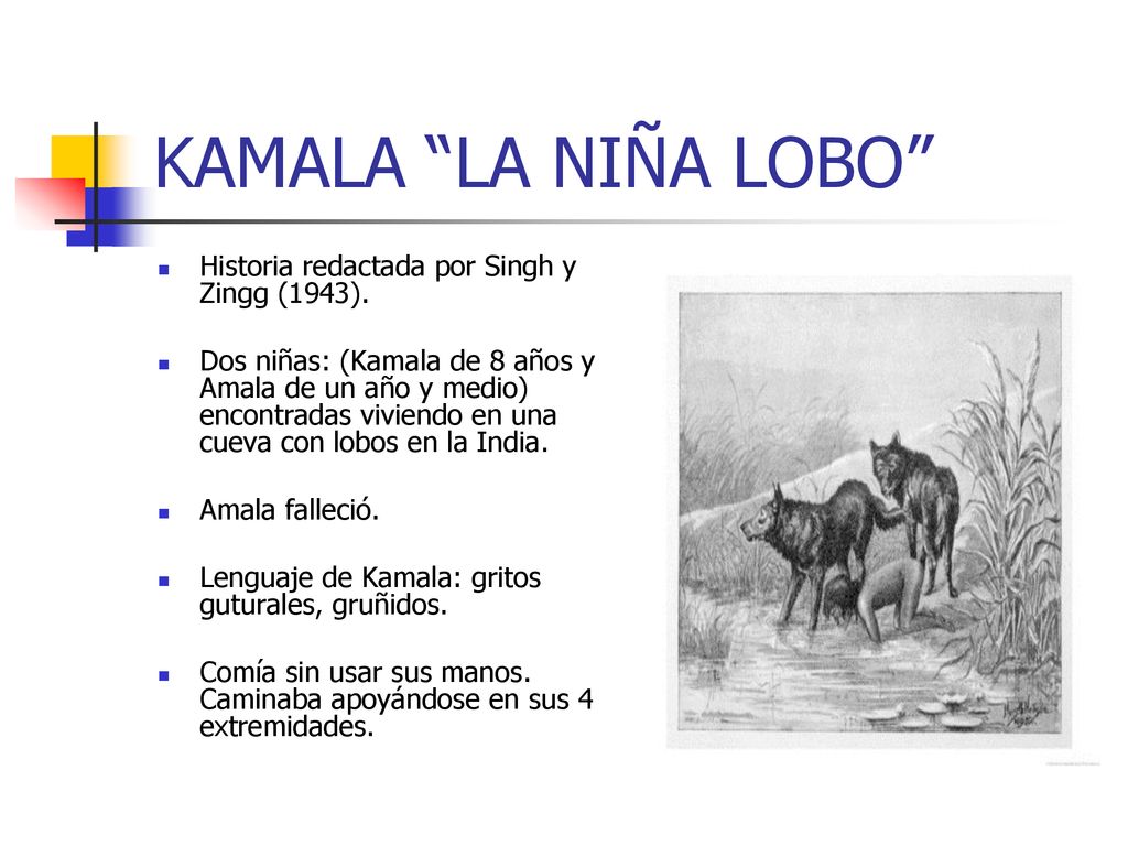 KAMALA LA NIÑA LOBO Historia redactada por Singh y Zingg (1943).