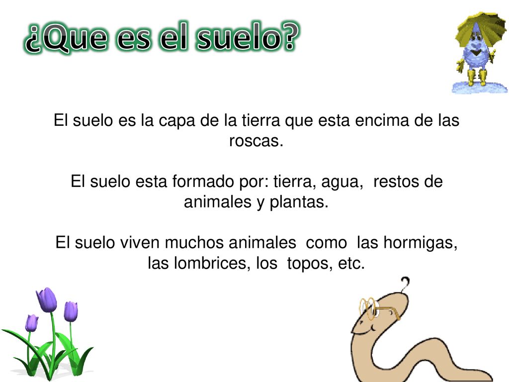 ¿Que es el suelo El suelo es la capa de la tierra que esta encima de las roscas.