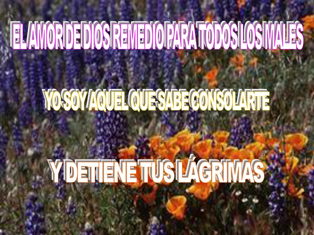 Y DETIENE TUS LÁGRIMAS EL AMOR DE DIOS REMEDIO PARA TODOS LOS MALES
