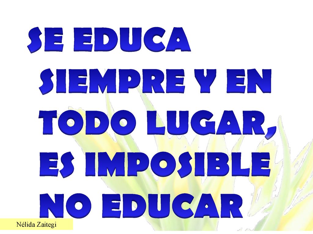 SE EDUCA SIEMPRE Y EN TODO LUGAR, ES IMPOSIBLE NO EDUCAR