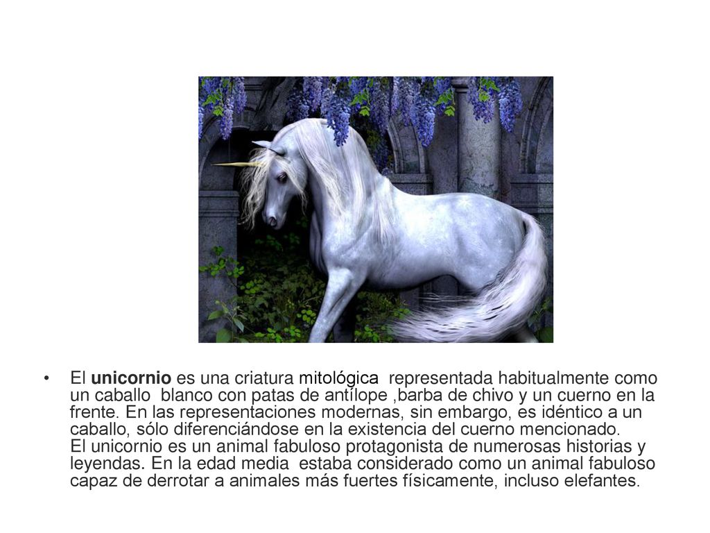 El unicornio es una criatura mitológica representada habitualmente como un caballo blanco con patas de antílope ,barba de chivo y un cuerno en la frente.
