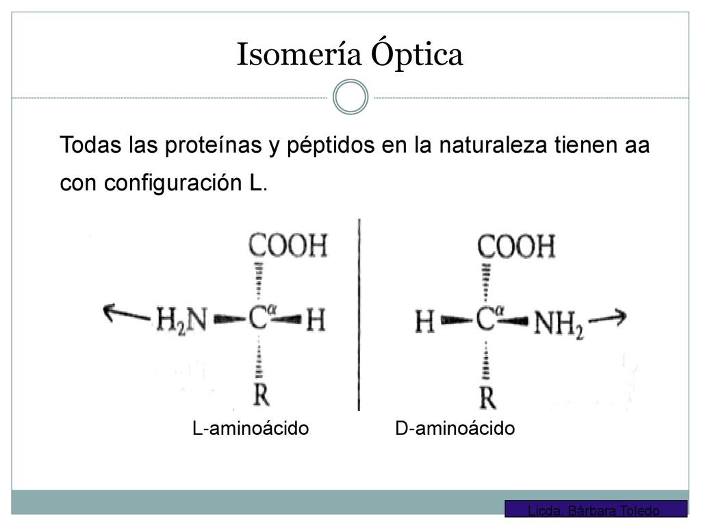Isomería Óptica Todas las proteínas y péptidos en la naturaleza tienen aa. con configuración L. L-aminoácido D-aminoácido.