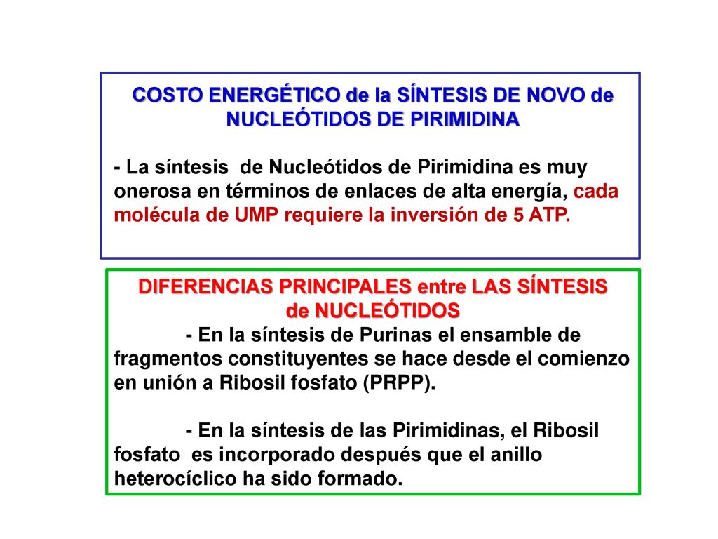 COSTO ENERGÉTICO de la SÍNTESIS DE NOVO de NUCLEÓTIDOS DE PIRIMIDINA