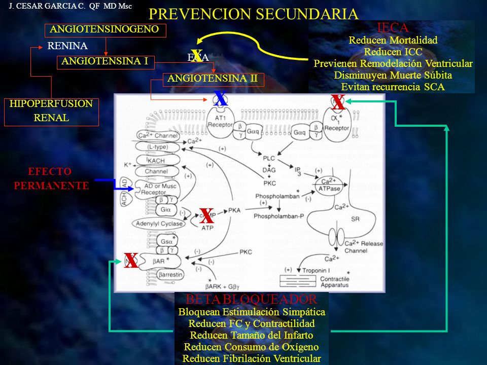 x x x x x PREVENCION SECUNDARIA IECA BETA BLOQUEADOR ANGIOTENSINOGENO