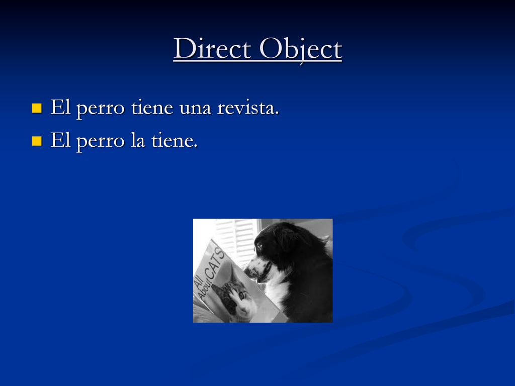 Direct Object El perro tiene una revista. El perro la tiene.
