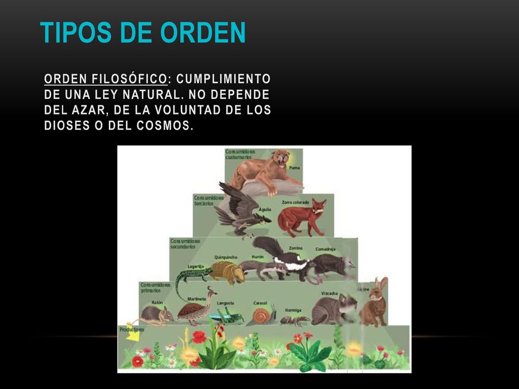 TIPOS DE ORDEN ORDEN FILOSÓFICO: CUMPLIMIENTO DE UNA LEY NATURAL.
