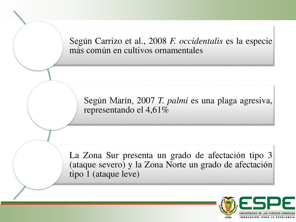 Según Carrizo et al., 2008 F. occidentalis es la especie más común en cultivos ornamentales