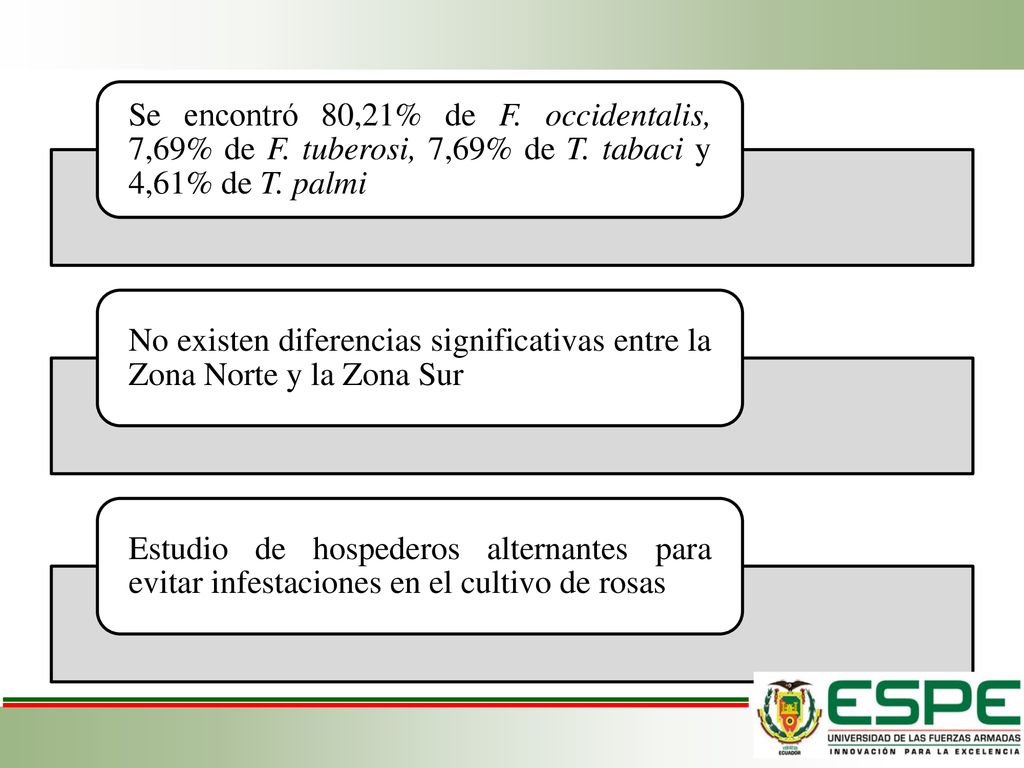 Se encontró 80,21% de F. occidentalis, 7,69% de F. tuberosi, 7,69% de T. tabaci y 4,61% de T. palmi